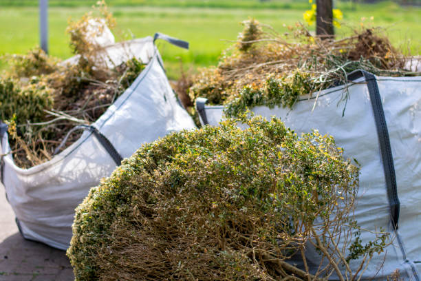 Debris Removal in Columbia, TN